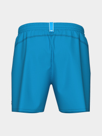 Чоловічі плавальні шорти Arena BYWAYX R модель 006442-872 Фото