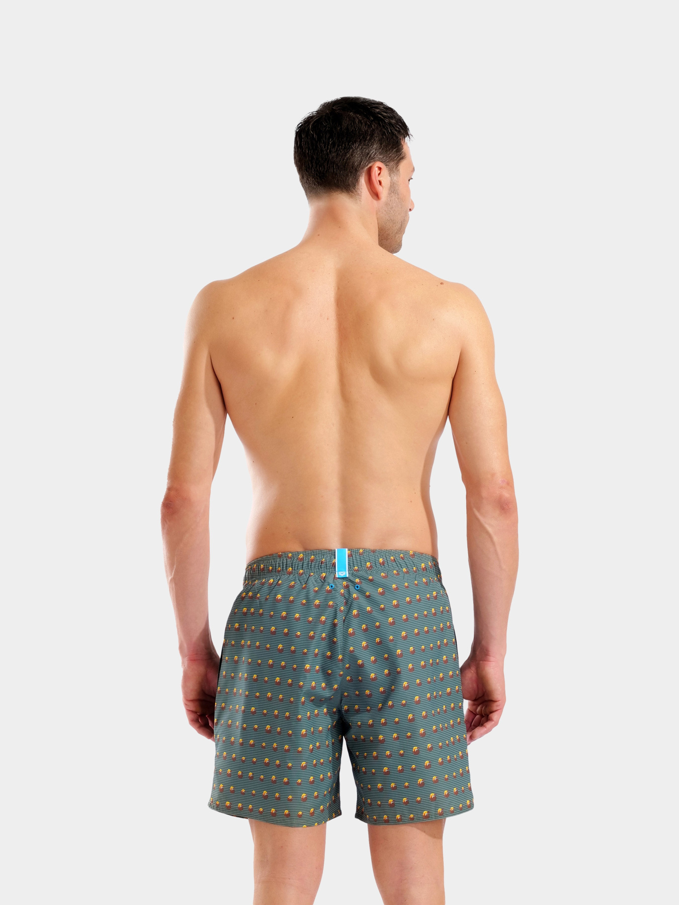Мужские плавательные шорты Arena WATER PRINTS BEACH BOXER AO модель 007153-651 Фото