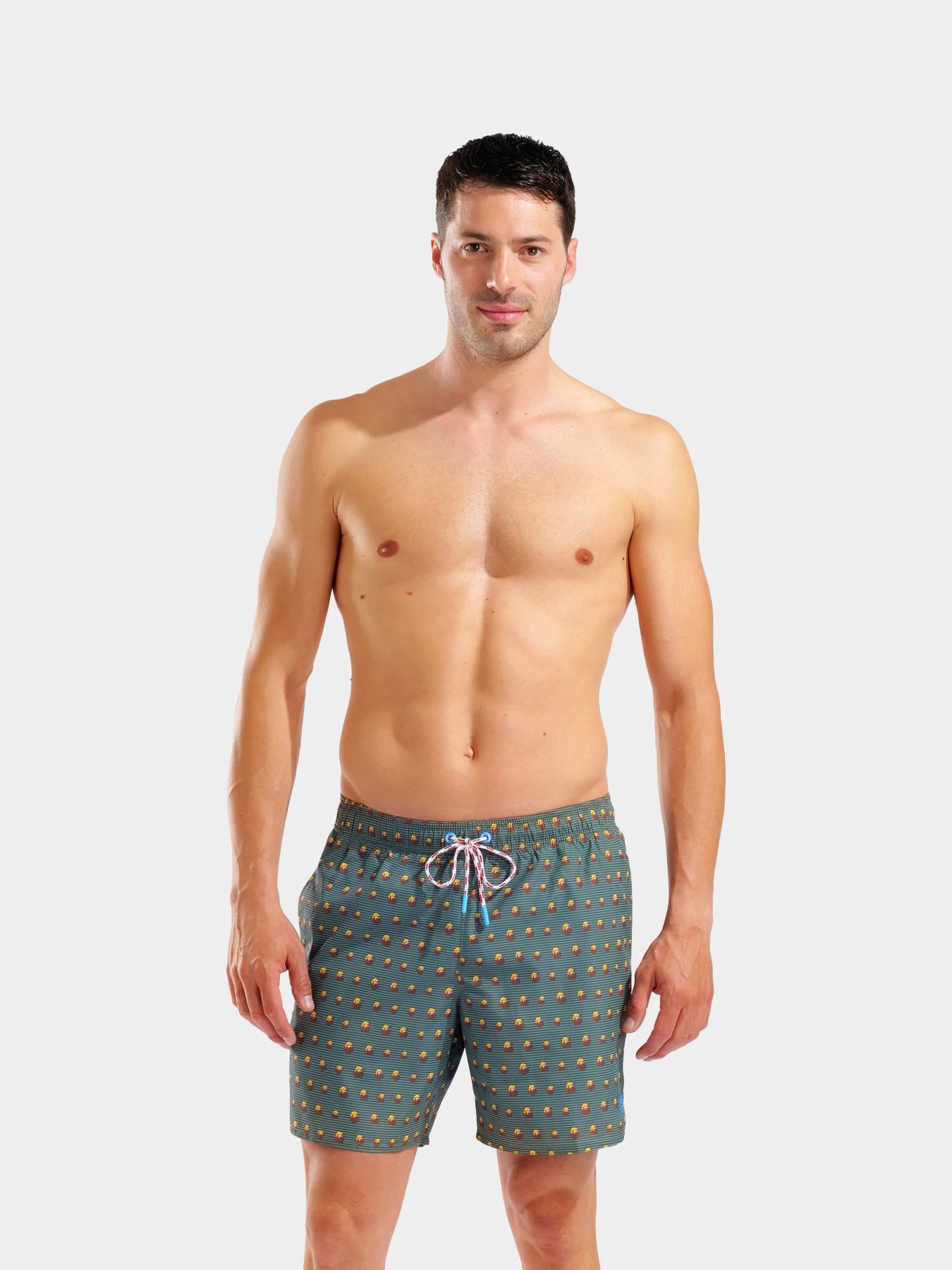 Мужские плавательные шорты Arena WATER PRINTS BEACH BOXER AO модель 007153-651 Фото