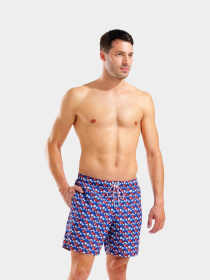 Мужские плавательные шорты Arena WATER PRINTS BEACH BOXER AO модель 007153-810 Фото