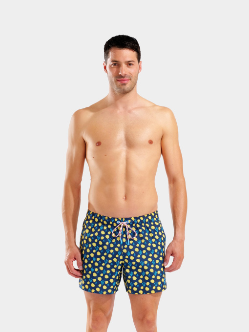 Мужские плавательные шорты Arena WATER PRINTS BEACH SHORT AO модель 007159-730 Фото