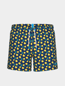 Мужские плавательные шорты Arena WATER PRINTS BEACH SHORT AO модель 007159-730 Фото
