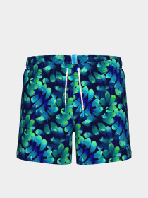 Мужские плавательные шорты Arena WATER PRINTS BEACH SHORT AO модель 007159-806 Фото