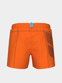 Мужские плавательные шорты Arena PRO_FILE LOSANGE BEACH SHORT модель 008923-370 Фото