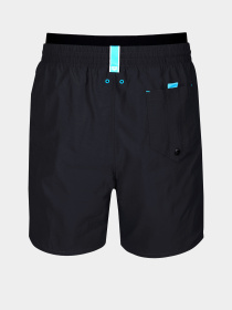 Мужские плавательные шорты Arena ELASTIC BAND BEACH BOXER модель 010898-500 Фото