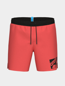 Мужские плавательные шорты Arena LOGO BOXER модель 010893-950 Фото