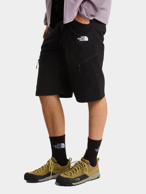 Шорты The North Face модель NF0A8FU9JK31 Фото