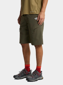 Шорты The North Face модель NF0A8FU921L1 Фото