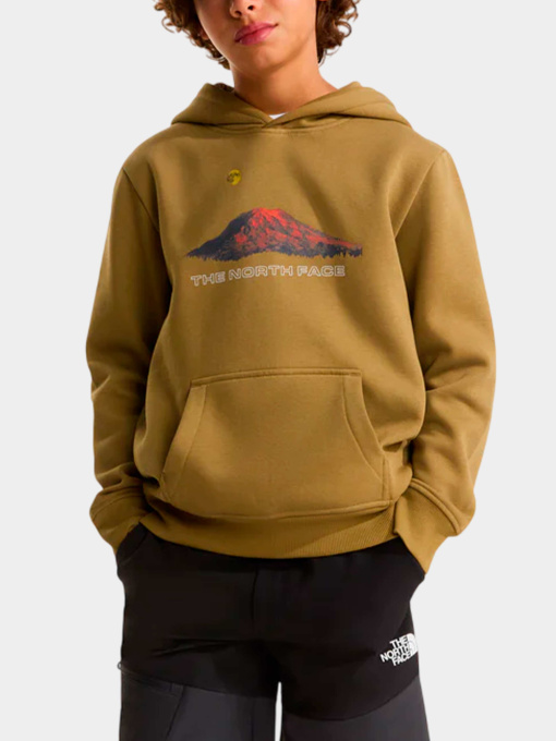 Худи и свитшоты The North Face модель NF0A8G1V2EL1 Фото
