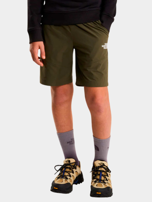 Шорты The North Face модель NF0A8FYV21L1 Фото