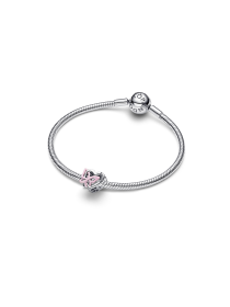 Намистина "Разом ми маємо все" модель 794475C01 Фото