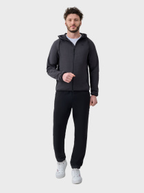 Спортивный костюм AVECS модель 50594-17 Фото