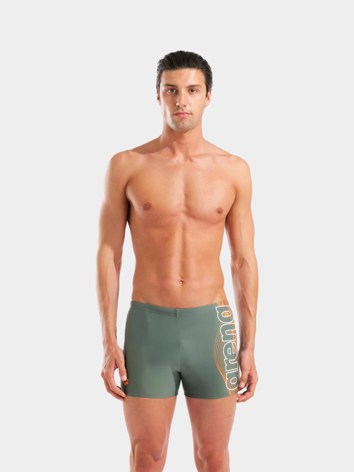 Мужские плавки Arena BASIC SWIM SHORT модель 010276-600 Фото
