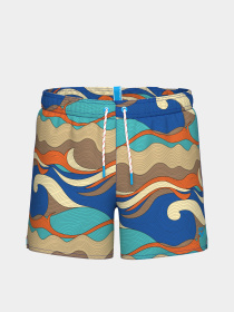 Чоловічі плавальні шорти Arena WATER PRINTS BEACH SHORT AO модель 007159-360 Фото