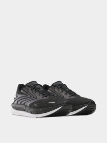 Кроссовки Reebok FLOATZIG TREAD модель 102270258 Фото
