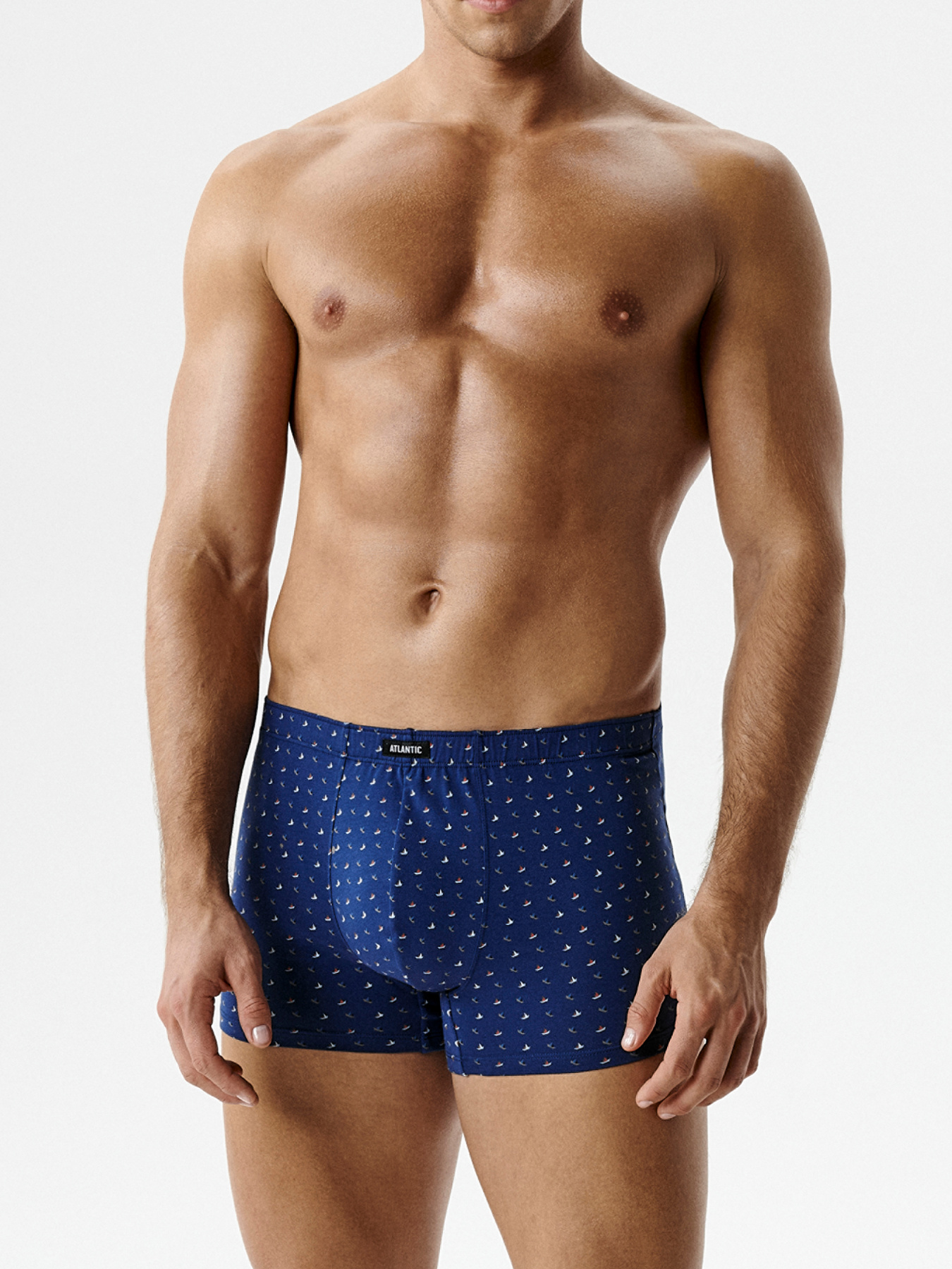 Набор трусов Atlantic модель 3MH-233 Набор трусов Atlantic модель 3MH-233 Фото