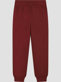 Спортивные штаны BOSS Kids модель J51160;95L Спортивные штаны BOSS Kids модель J51160;95L Фото