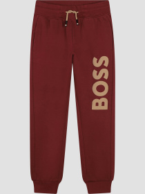 Спортивные штаны BOSS Kids модель J51160;95L Спортивные штаны BOSS Kids модель J51160;95L Фото