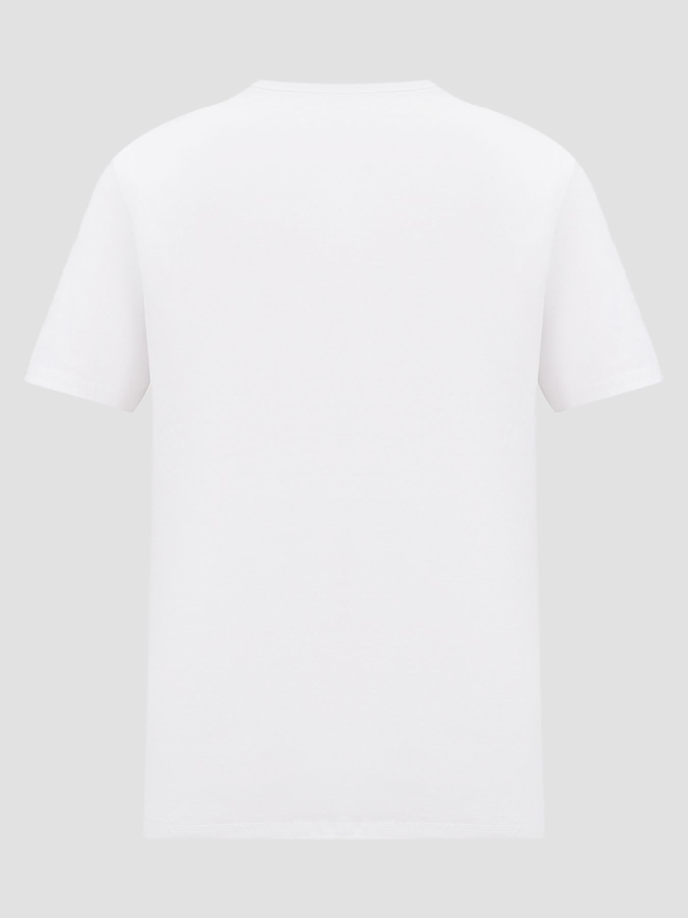 Футболка GUESS модель M5GI19.J1314;G011 Фото