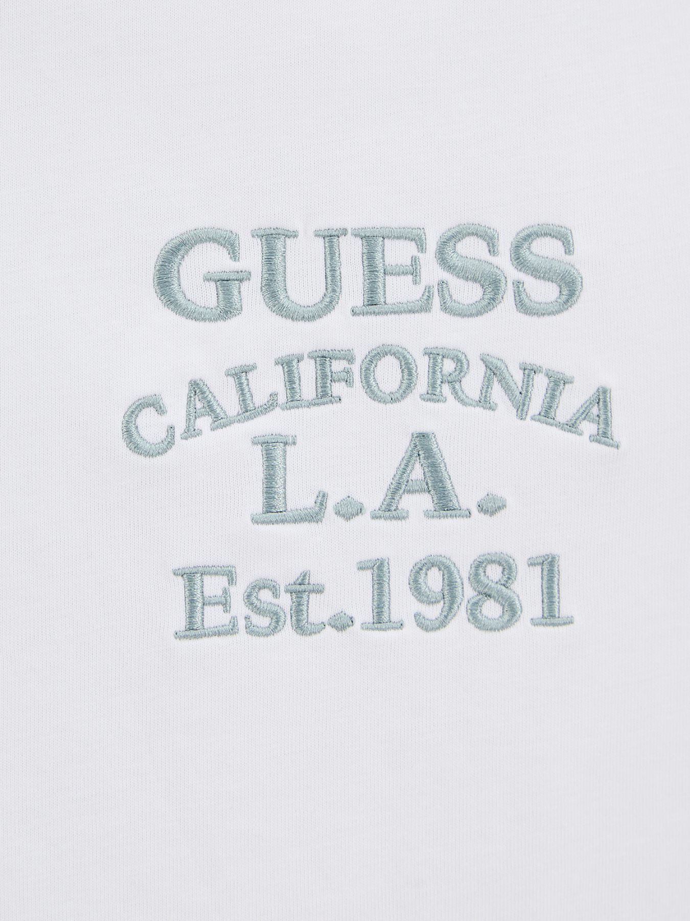 Футболка GUESS модель M5RI35.K8FQ4;G011 Фото