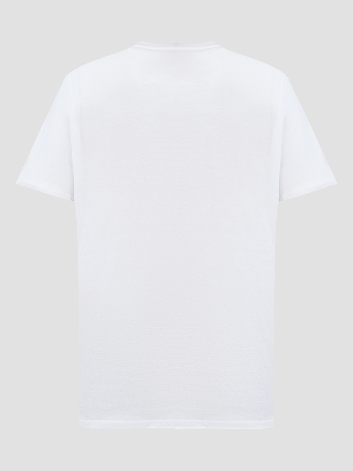 Футболка GUESS модель M5RI43.K9RM1;G011 Фото