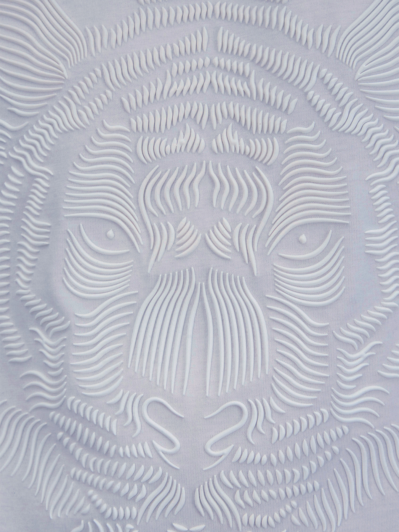 Мужская белая футболка модель MMKS02463.FA100240;1011 Фото