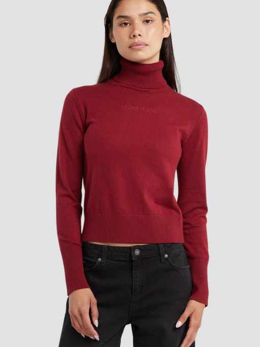 Жіночий бордовий гольф модель W4BR15.Z3HO2;G5M3 Фото