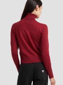 Жіночий бордовий гольф модель W4BR15.Z3HO2;G5M3 Фото