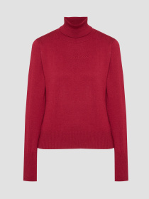 Жіночий бордовий гольф модель W4BR15.Z3HO2;G5M3 Фото