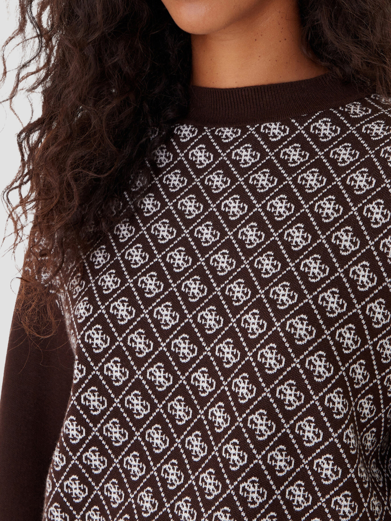 Жіночий темно-коричневий джемпер з візерунком модель W5BR23.Z3JD2;FNHT Фото