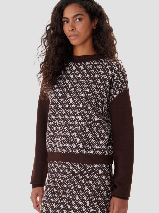 Жіночий темно-коричневий джемпер з візерунком модель W5BR23.Z3JD2;FNHT Фото