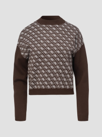 Жіночий темно-коричневий джемпер з візерунком модель W5BR23.Z3JD2;FNHT Фото
