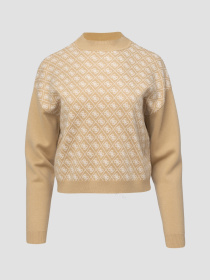 Жіночий бежевий джемпер з візерунком модель W5BR23.Z3JD2;FNI4 Фото