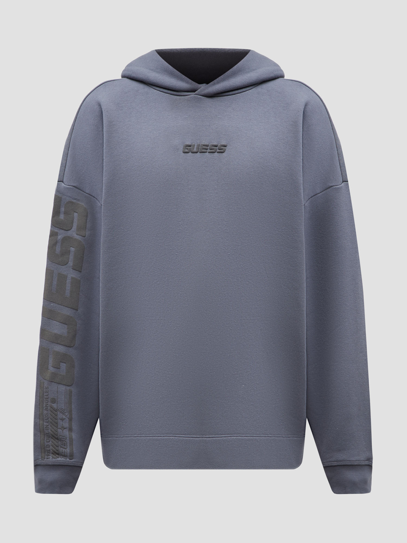 Мужское серое худи модель Z4BQ03.K9V31;G9D2 Фото