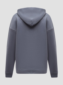 Мужское серое худи модель Z4BQ03.K9V31;G9D2 Фото