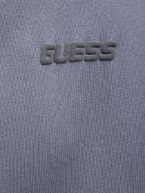 Мужское серое худи модель Z4BQ03.K9V31;G9D2 Фото