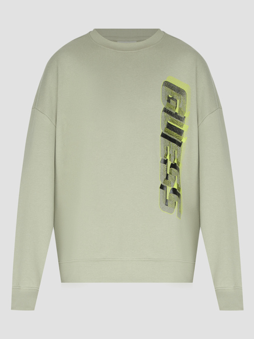 Чоловічий оливковий світшот модель Z4RQ20.KAIJ1;A810 Фото