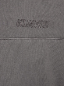 Мужское серое худи модель Z5BQ10.KCE91;G1CE Фото