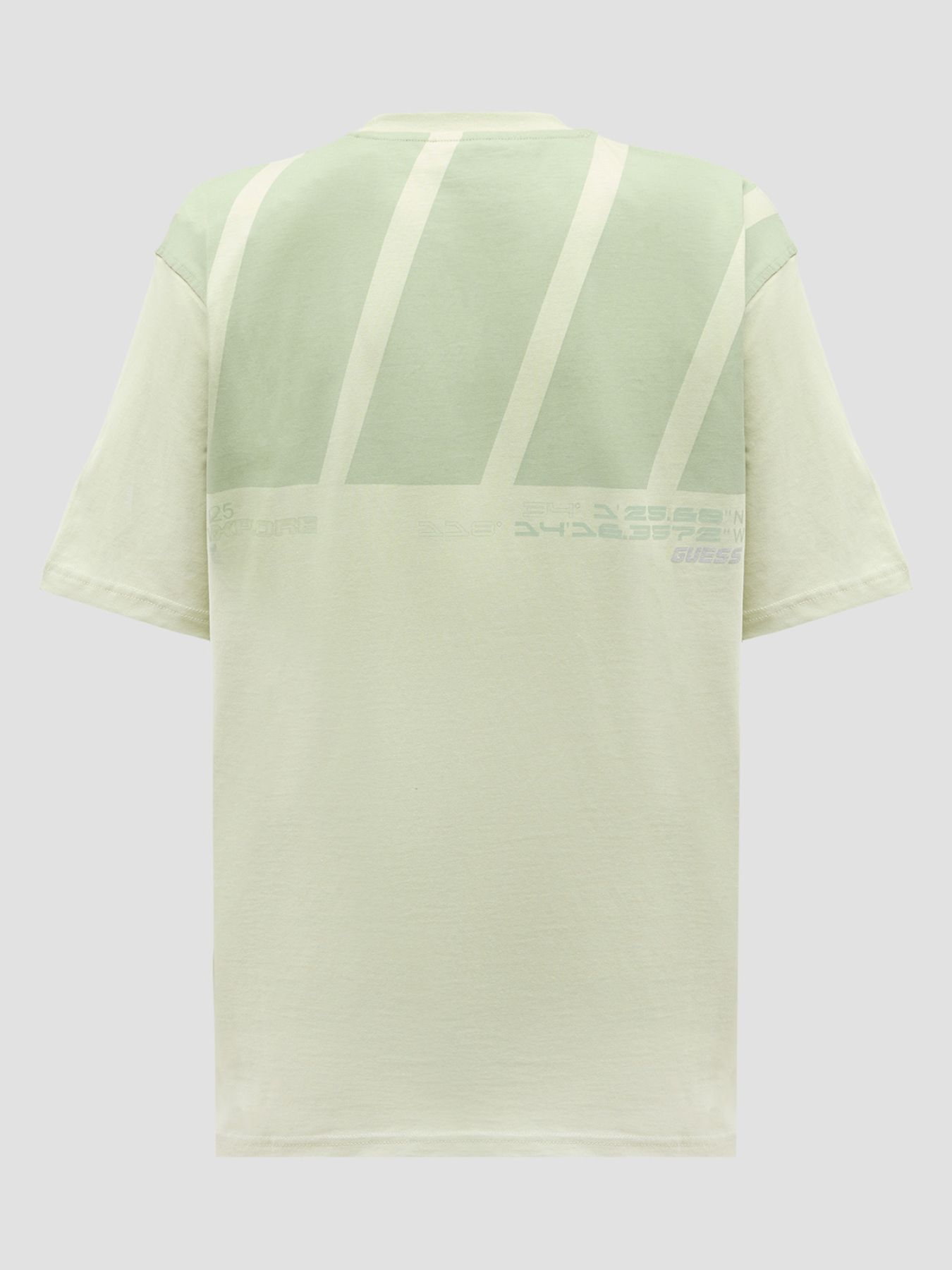 Чоловіча салатова футболка модель Z5GI00.I3Z14;G8CR Фото