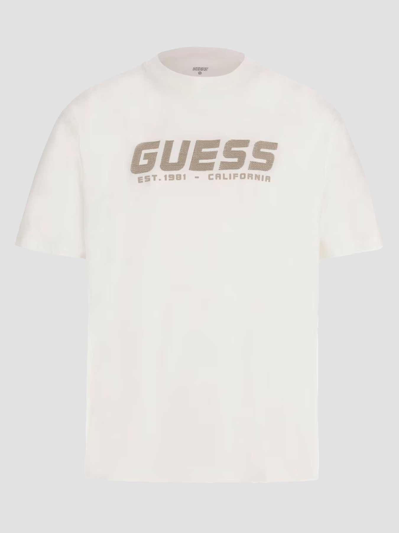 Чоловіча біла футболка модель Z5RI10.I3Z14;G018 Фото