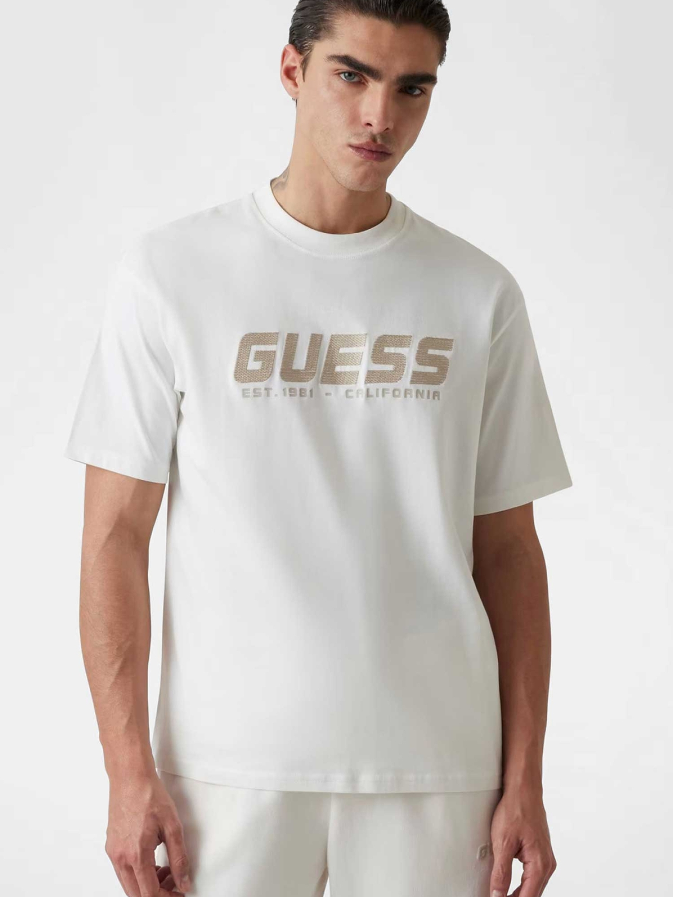 Чоловіча біла футболка модель Z5RI10.I3Z14;G018 Фото