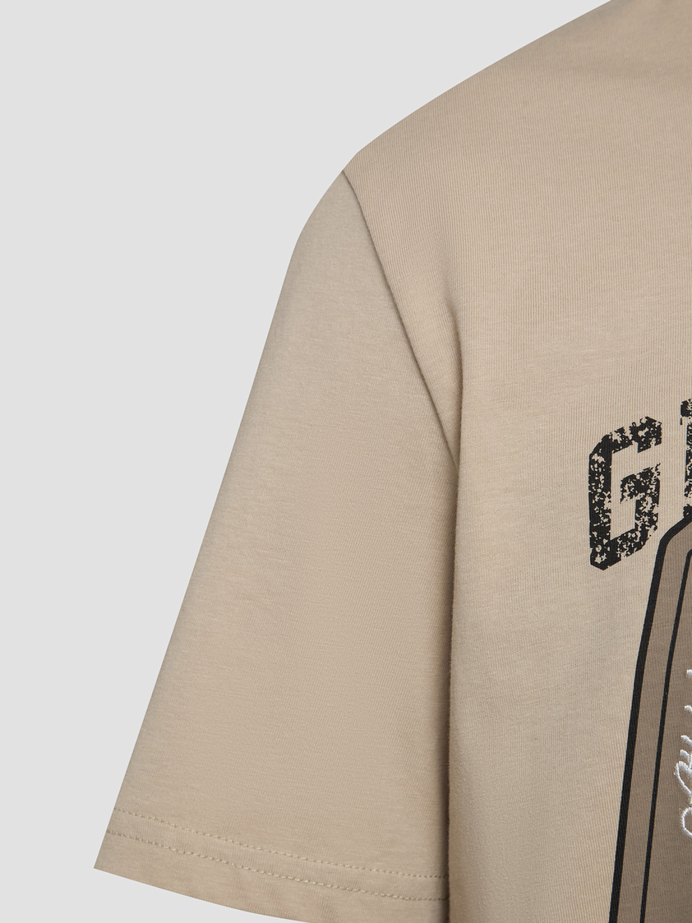 Мужская бежевая футболка модель Z5YI00.I3Z14;G1CA Фото