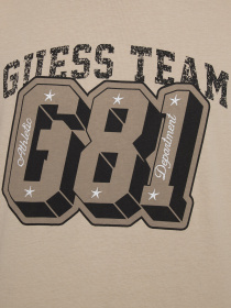 Мужская бежевая футболка модель Z5YI00.I3Z14;G1CA Фото