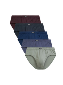 Набір трусів Atlantic модель 5SMP-003_GRAC_ZIEJ_BUR_IND_DENJ Фото