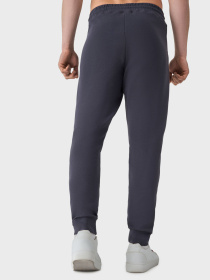 Штаны спортивные AVECS модель 50588-17 Фото