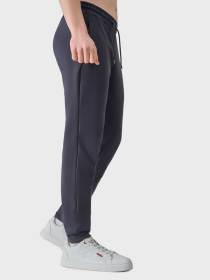 Штаны спортивные AVECS модель 50588-17 Фото