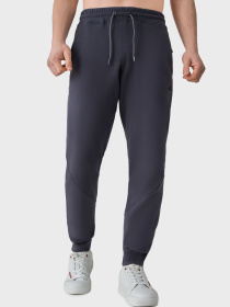 Штаны спортивные AVECS модель 50588-17 Фото