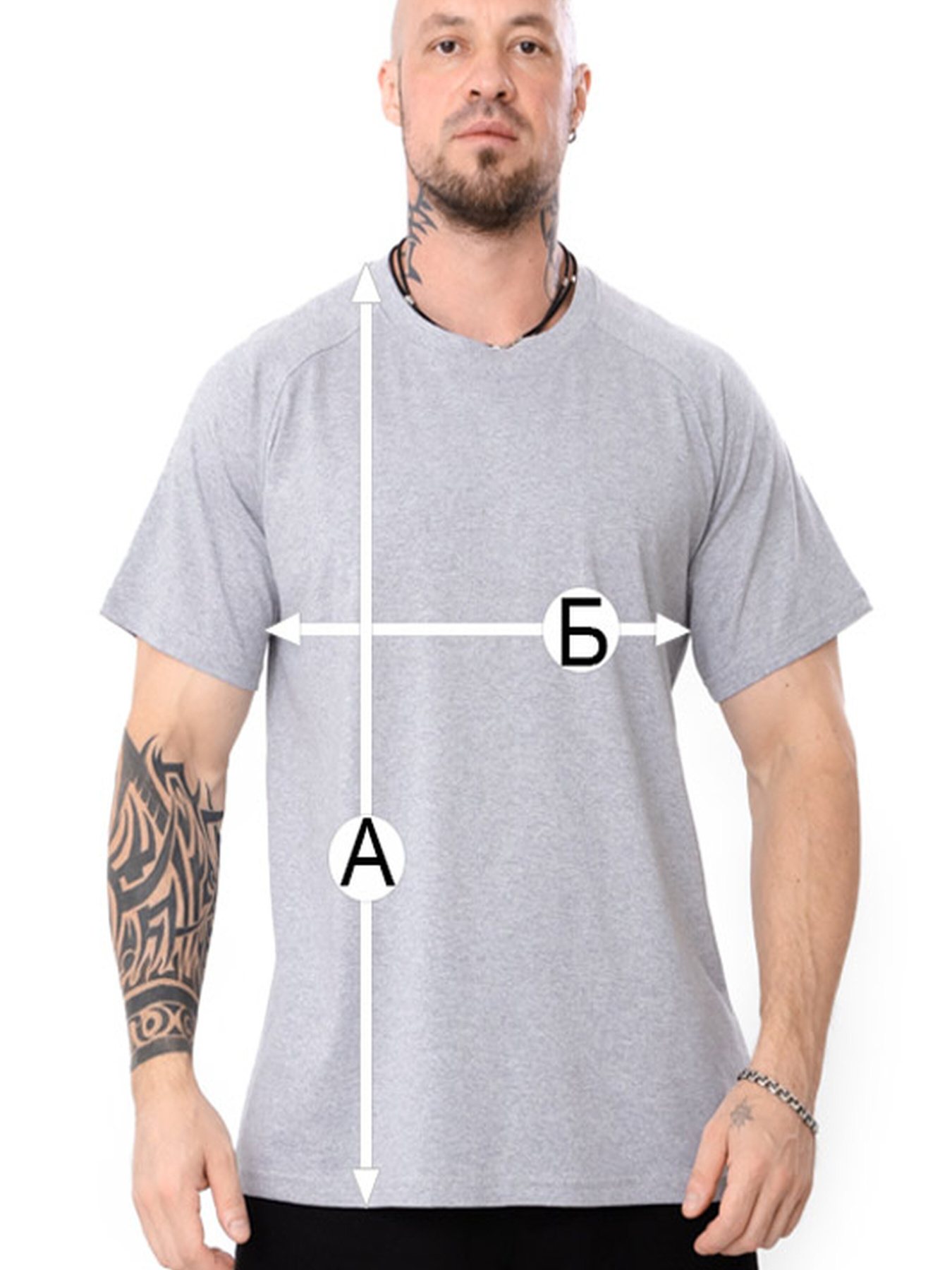 Футболка-реглан чоловіча великих розмірів однотонна, Сірий Носи Своє (8011-001) модель 8011-001-srij Фото