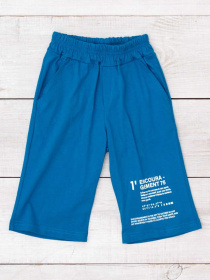 Шорты Носи своє модель 6208-001-33-temna-bryuza Фото