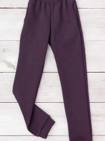 Теплі штани для дівчинки (підліткові), Темно-фіолетовий Носи Своє (6231-025) модель 6231-025-nzhir Фото